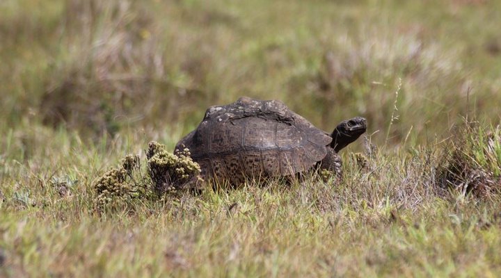 3 Barrack Lane- Formerly Coshlybee Cottage