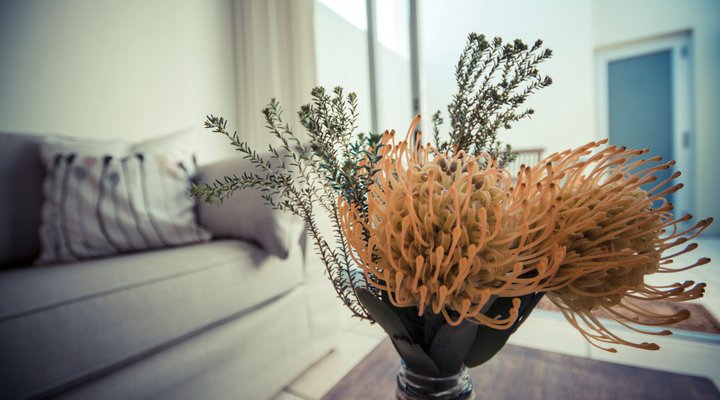 Seaside Deluxe Apartment