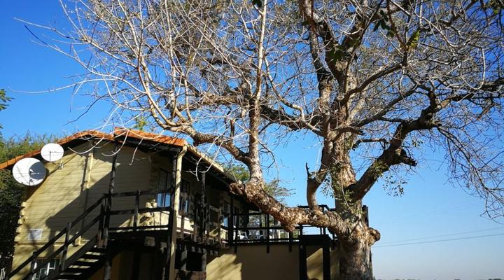 Kruger View Tree House