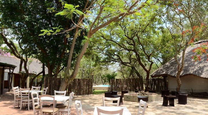 Wild Dogs Safari Lodge