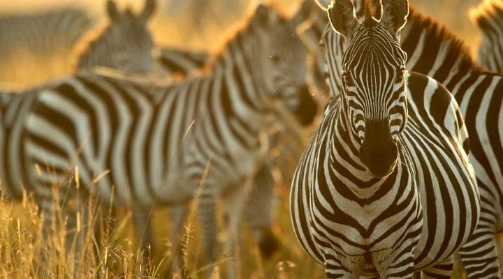 3 day Kruger Park Safari & Panorama Route 
