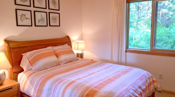 Glacier Springs Cabin #54