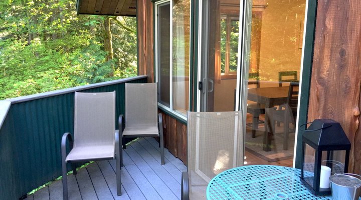 Glacier Springs Cabin #54