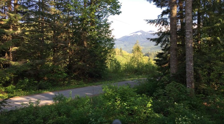 Glacier Springs Cabin #54