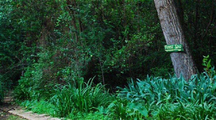 La Provence d' Afrique