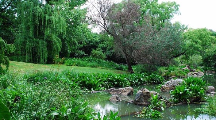 La Provence d' Afrique