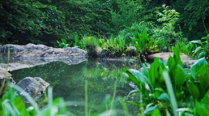 La Provence d' Afrique