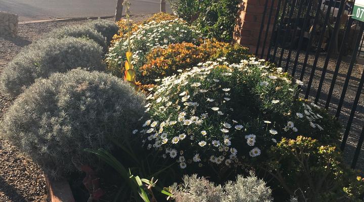 Tranquility in the heart of it