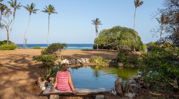 Ras Kikadini Beach House