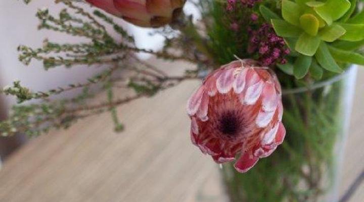 York Mews 14 by CTHA