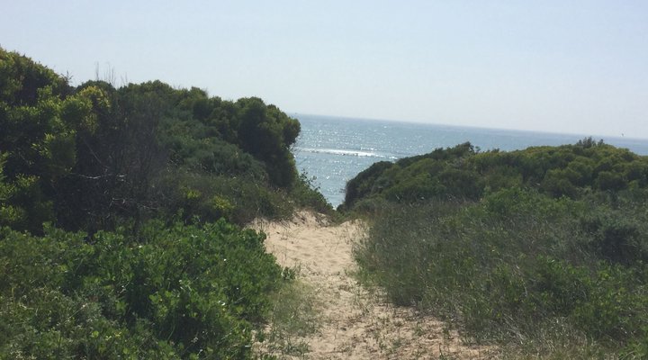 No 8 @ Blues Bay