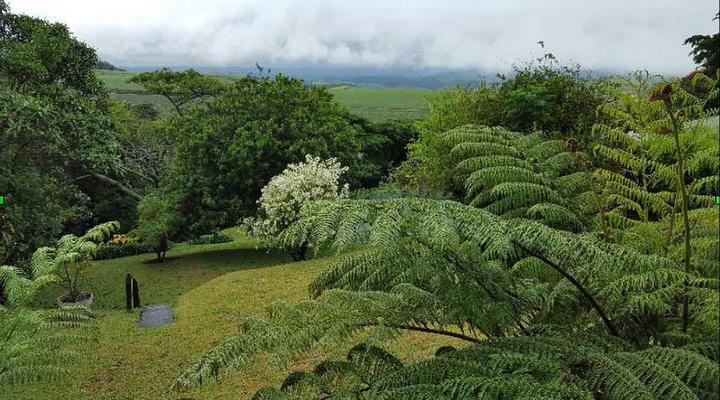 African Dwarf Kingfisher Guesthouse