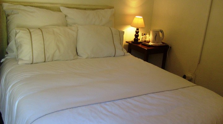 The Trend Guesthouse - Queenstown
