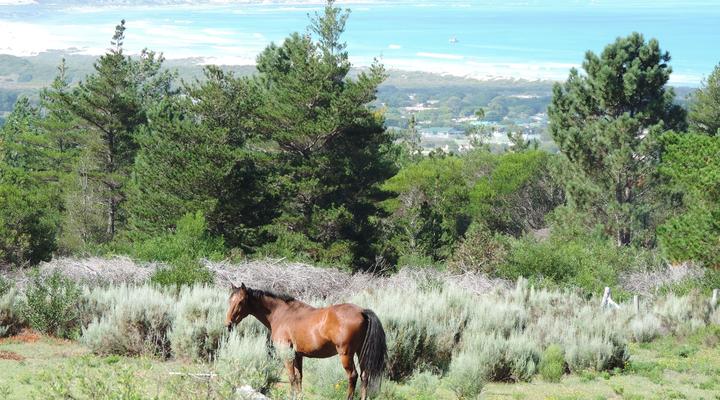 Panorama Guest House