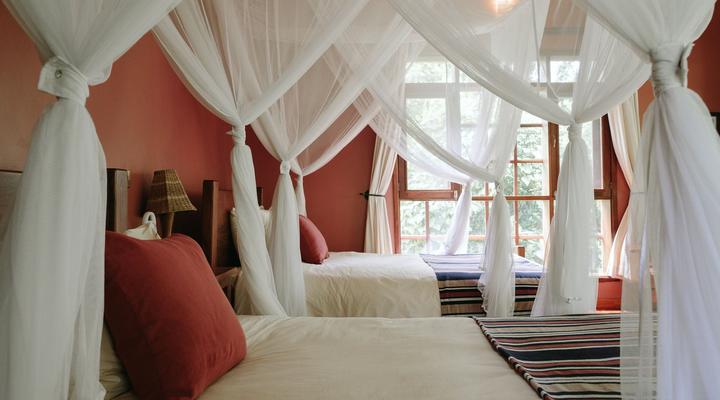 Primate Lodge Kibale