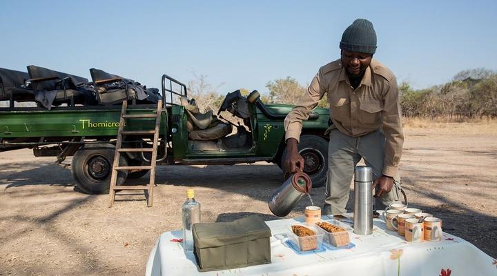Thornicroft Lodge, South Luangwa - Zambia