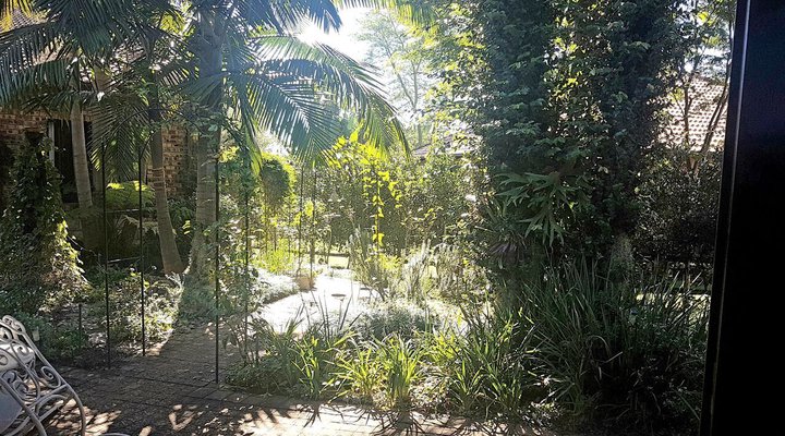 Palmetta Cottage
