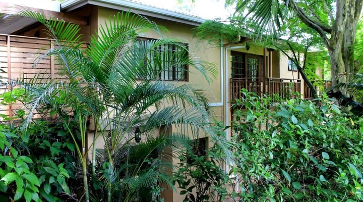 African Tree Lodge