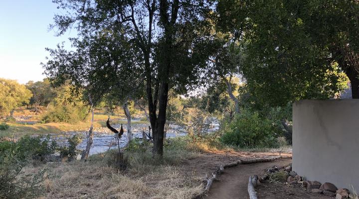 Koro River Camp & Koro Island Camp