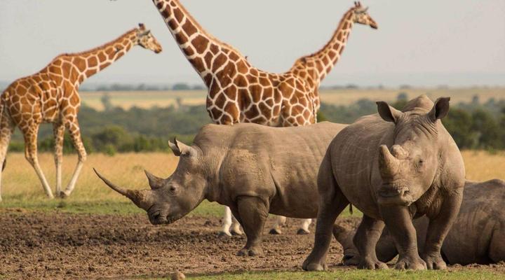 3 day Kruger Park Safari & Panorama Route 