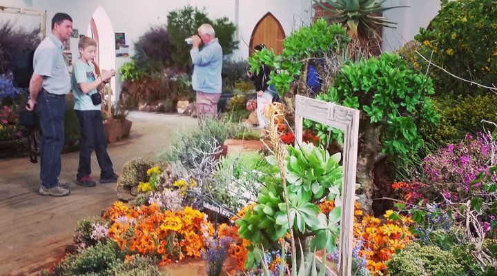 Daisy Cottage - Clanwilliam