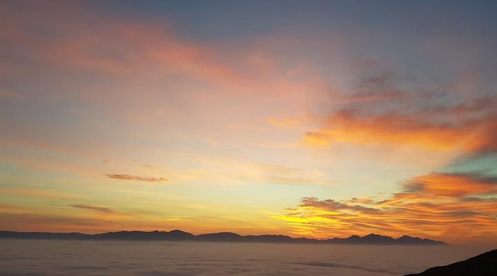 Klipspringer McGregor