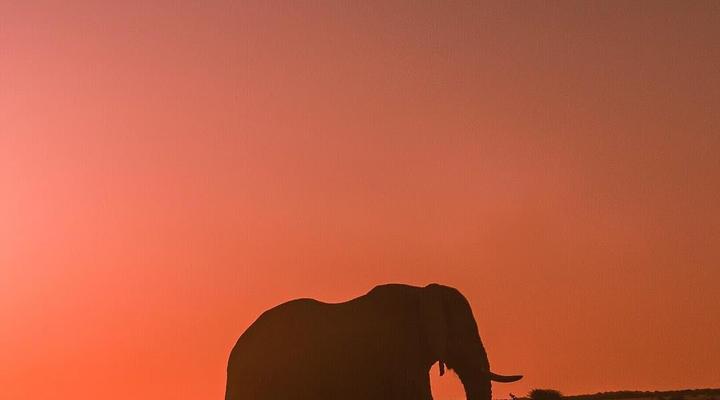 Cape to Kruger Park Safari in 15 days