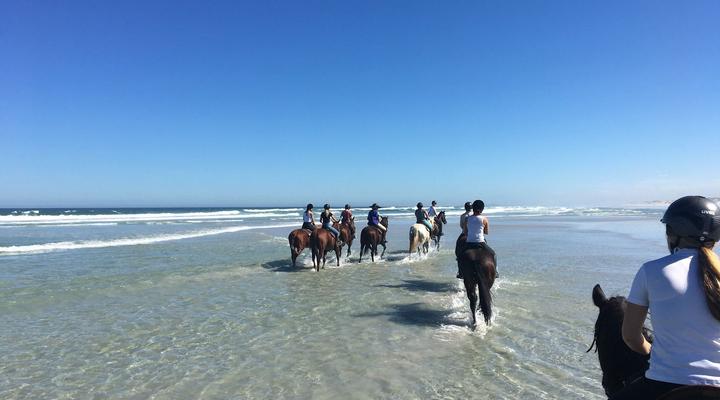 Cape to Kruger Park Safari in 15 days