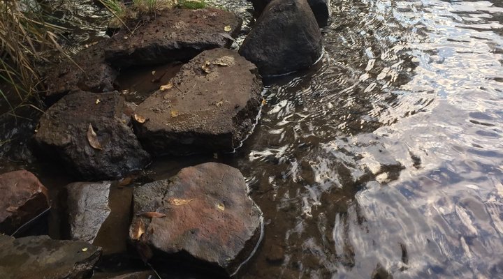 Jampot Nature Retreat