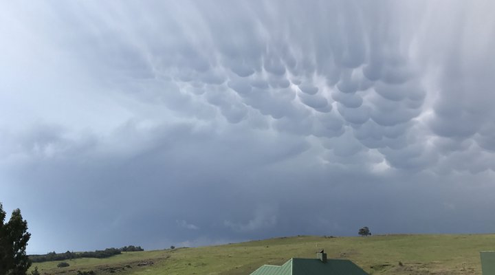 Kwaggaskop Game Farm