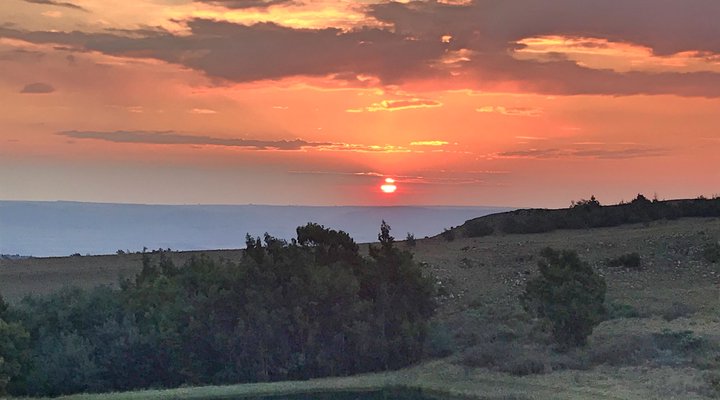 Kwaggaskop Game Farm