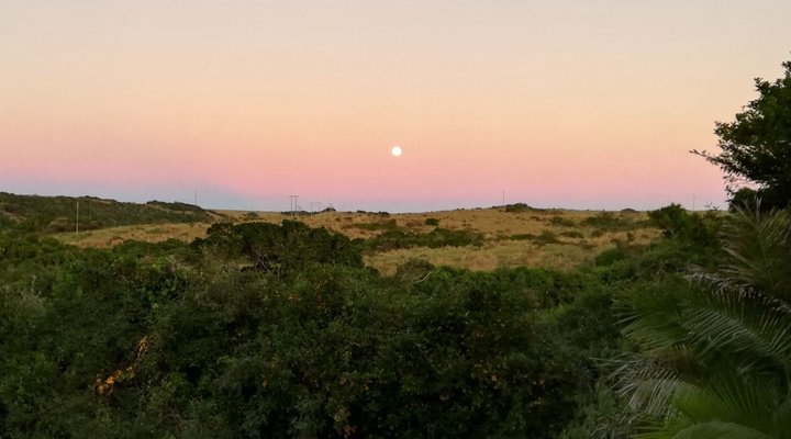 Fern Cottage Kei Mouth