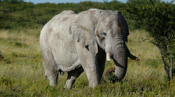 iGowati Country Hotel