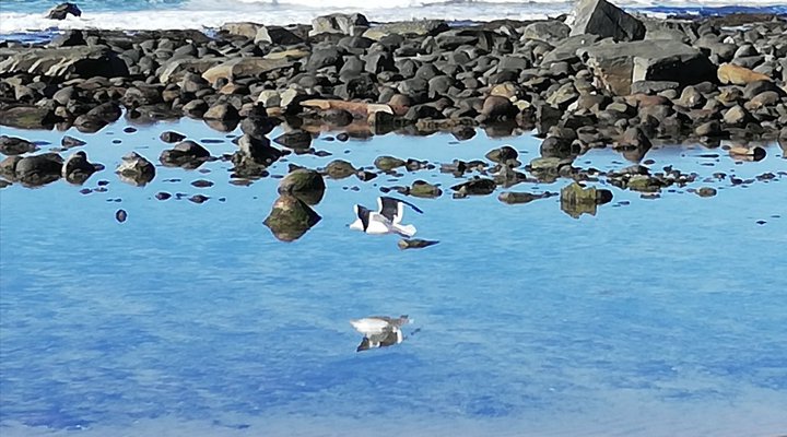 Fern Cottage Kei Mouth