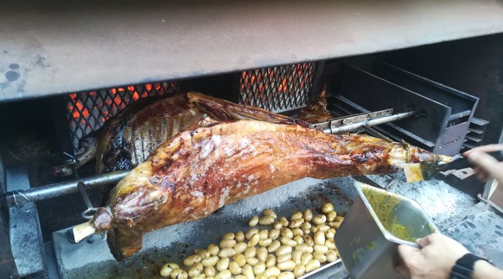 Swallows Inn Guest House