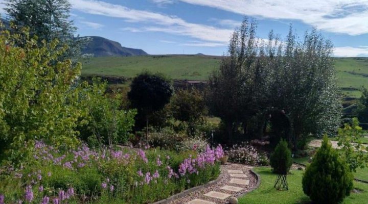 Guddle Burn Farm Stay