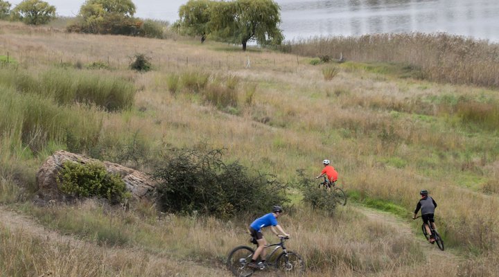 Petronella Guest House