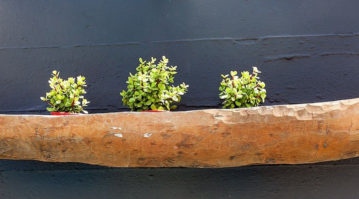 Kleine Baai Accommodation