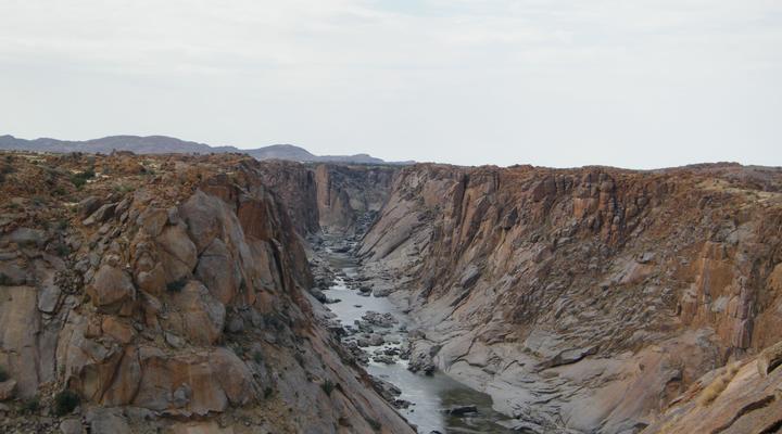 Quiver Tree Guest House