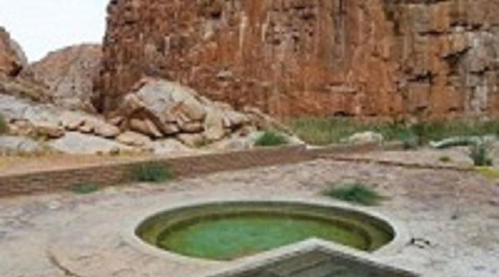 Quiver Tree Guest House