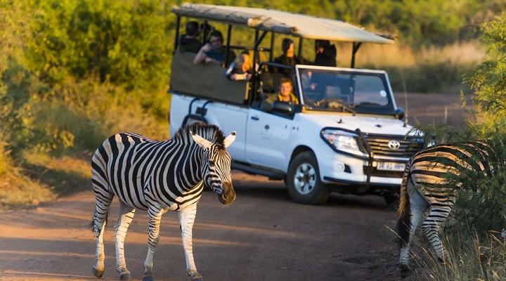 aha Shepherd’s Tree Game Lodge