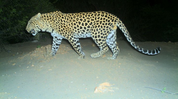 Die Poort Private Nature Reserve