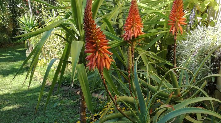 Home From Home Eureka