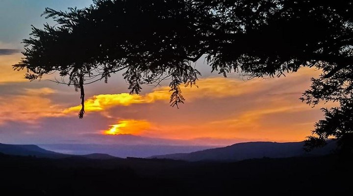 Zeederberg Country Lodge