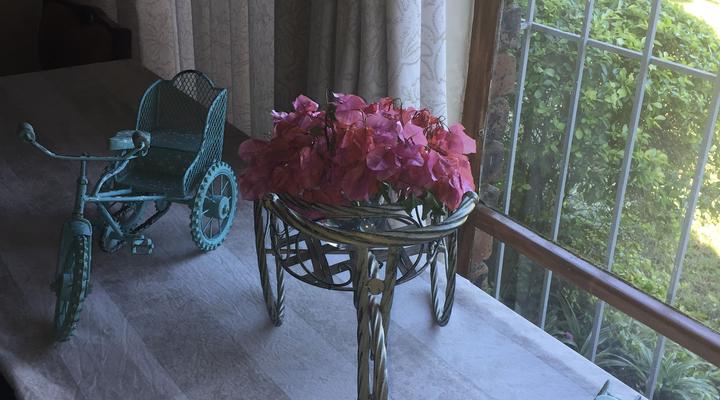 Serendipity 1 Guest House