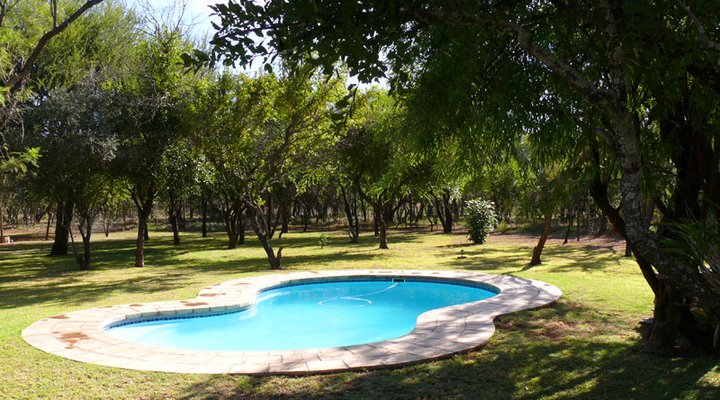 Dinonyane Bush Lodge
