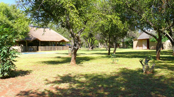 Dinonyane Bush Lodge