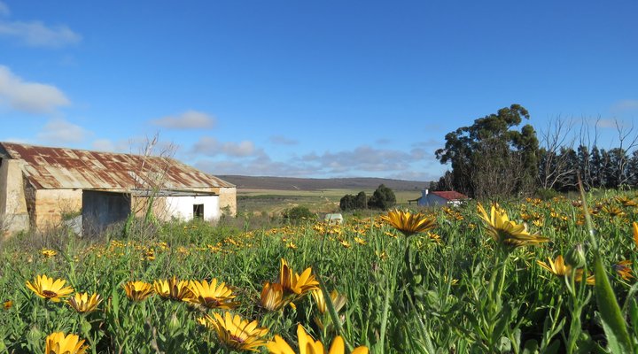 Rietrylaagte Farm Accommodation