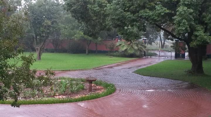 Grey Lourie Guest House