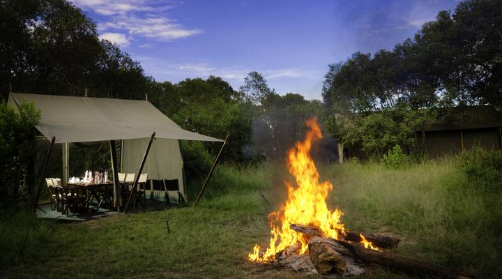 Ngerende in the Wild Riverview